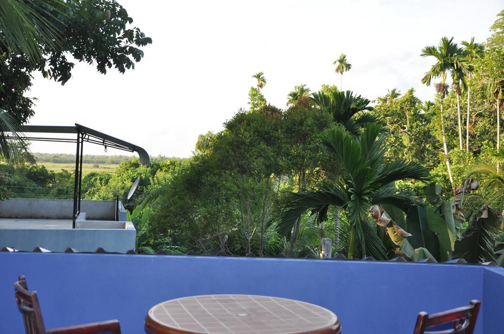 The Fence Bed & Breakfast Bentota Exterior photo