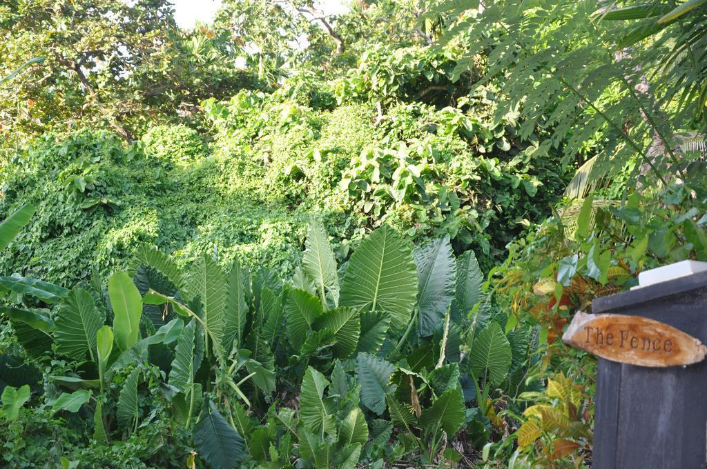 The Fence Bed & Breakfast Bentota Exterior photo