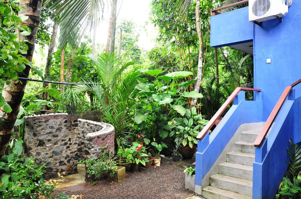 The Fence Bed & Breakfast Bentota Exterior photo